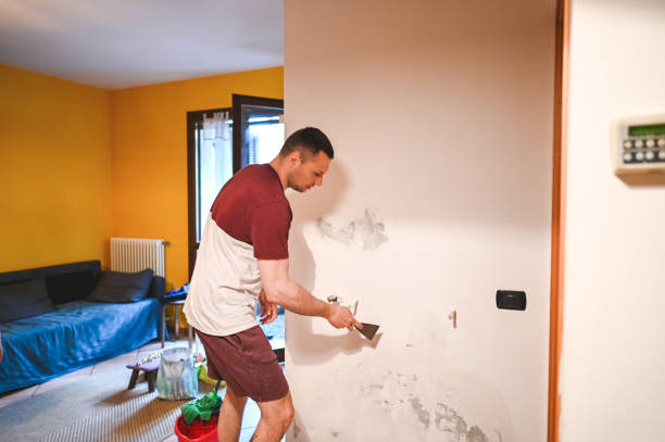 Best HVAC Mold Remediation in Hillsboro, ND